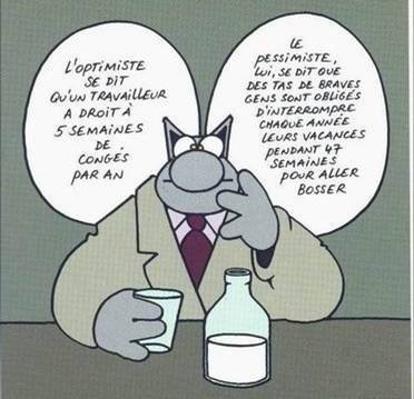 le chat 